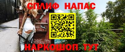 дурь Камышлов