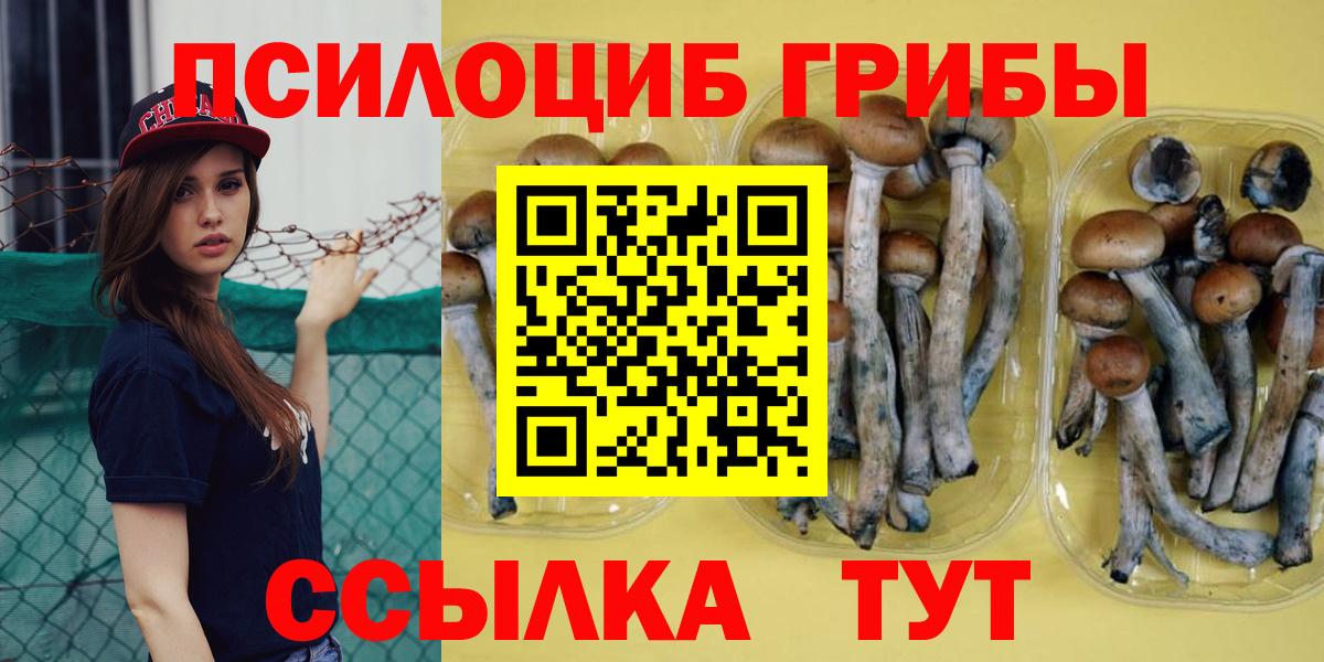 Лосино-Петровский  Псилоцибиновые грибы Psilocybe  Галлюциногенные грибы Cubensis  Вход с VPN 