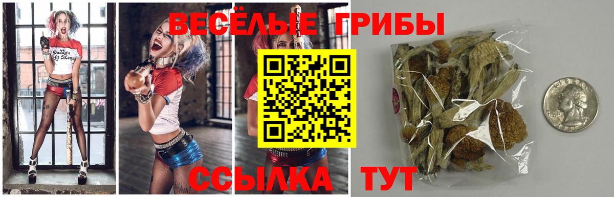 Псилоцибиновые грибы Psilocybe Лосино-Петровский